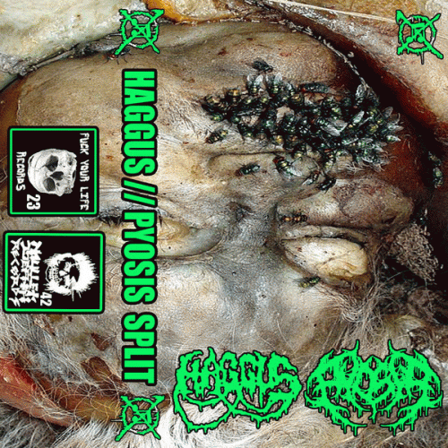 Haggus : Putrid Mincegore Garbage